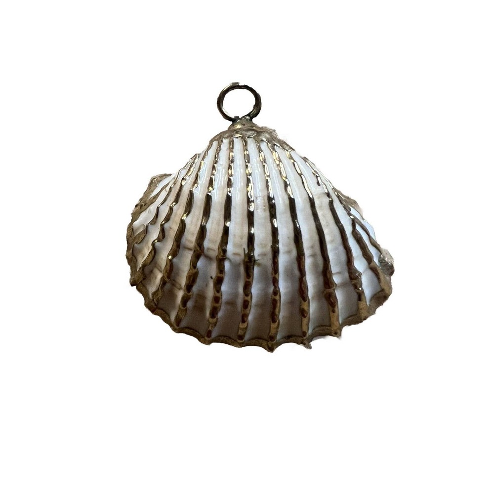 Yellow Gold toned Accented Sea Shell Pendant For Necklace 1.5 Inches